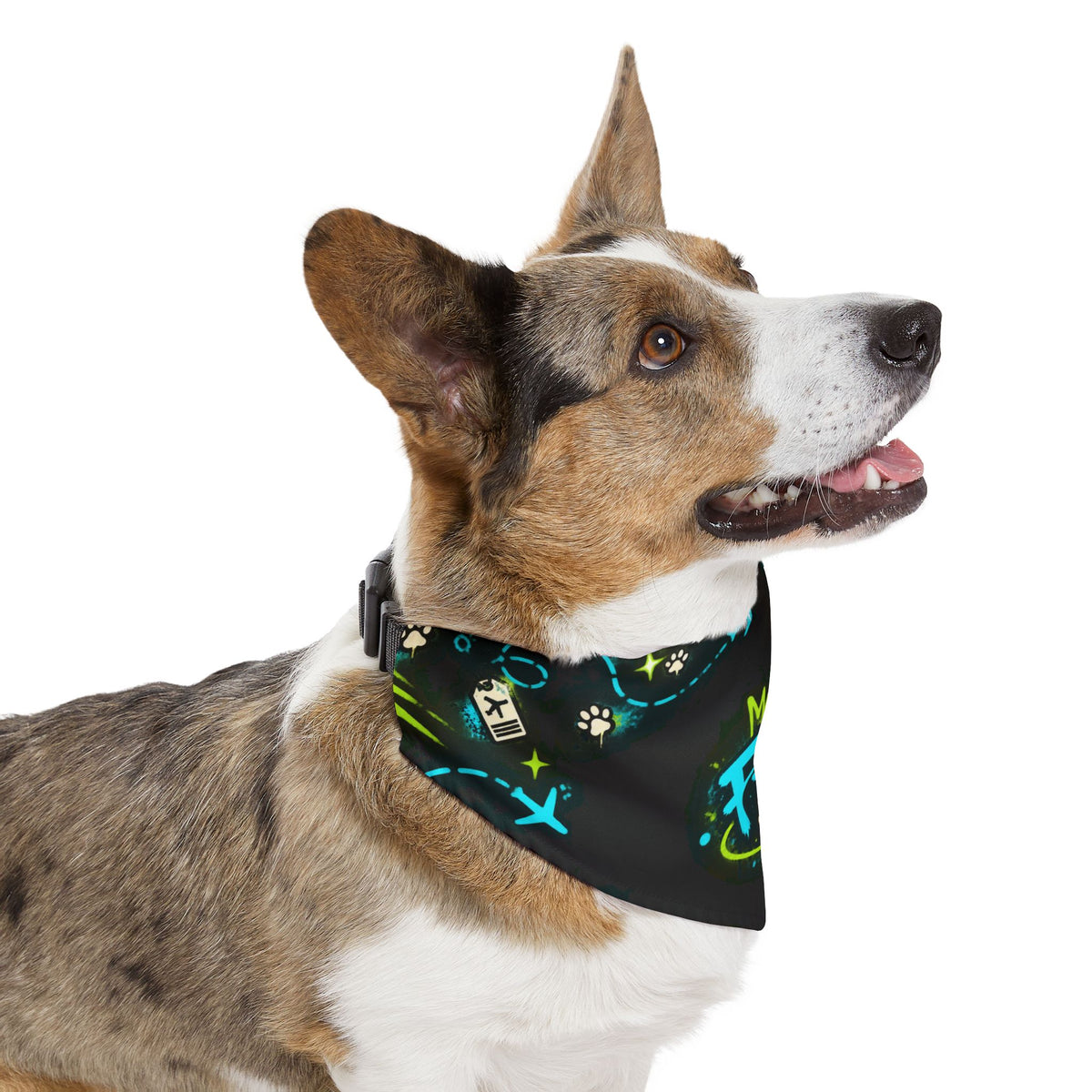 Graffiti FFB Dog Bandana Collar – Neon Paw Print