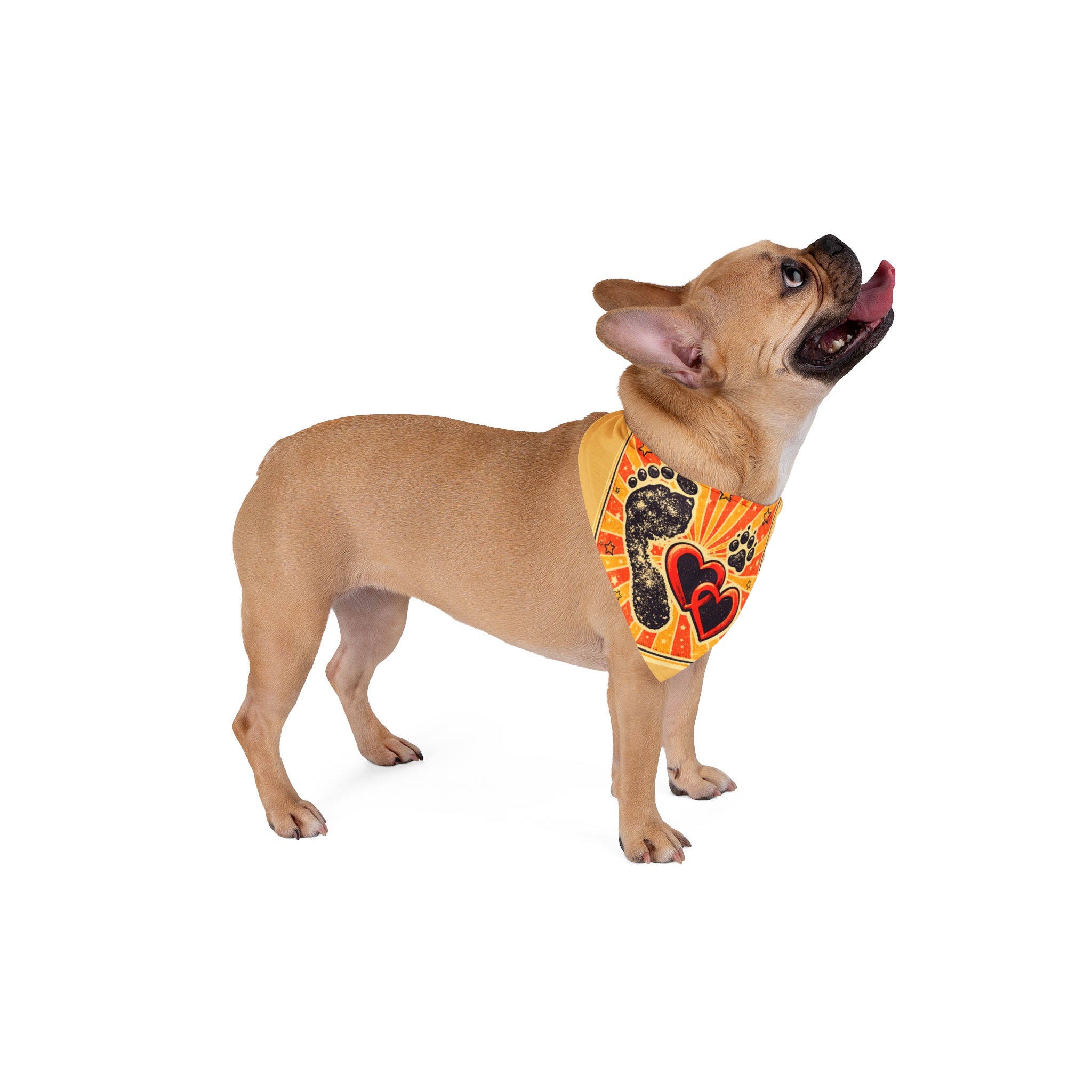Matching Human + Pet Bandana Set — Pet Bandana with Coordinating Hoodie Style