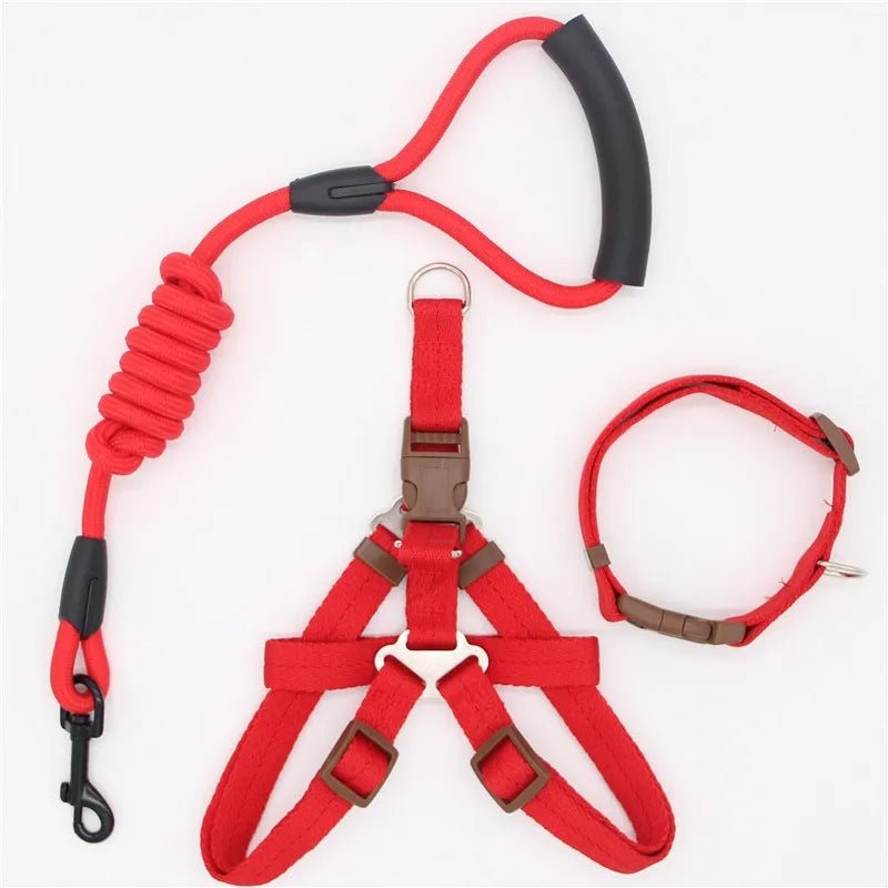 Nylon Dog Harness, Leash and Collar Set!