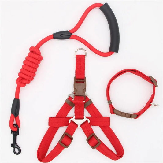 Nylon Dog Harness, Leash and Collar Set!