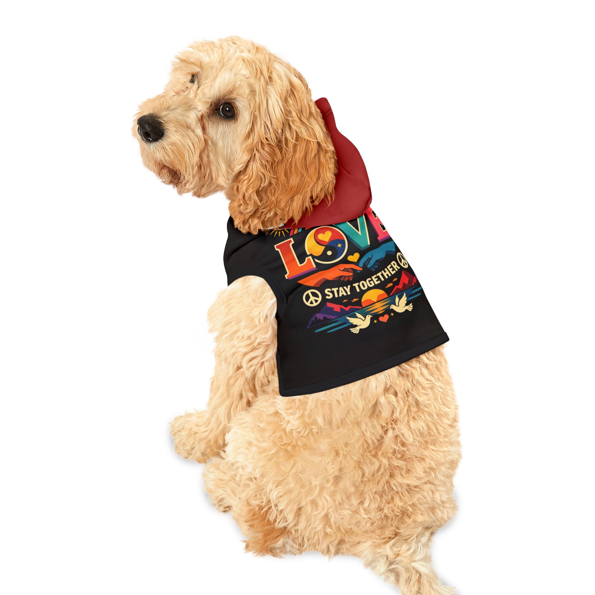 Matching Pet Hoodie — Coordinated 'Pet & Human' Matching Tshirt