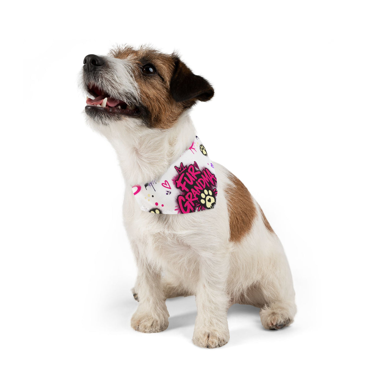 Pet Bandana Collar — “Fur Grandma” Paw Print Bandana Collar, Floral Pink & Purple Dog Scarf