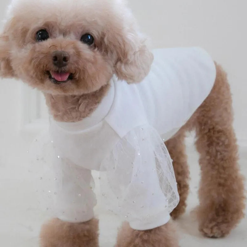 White lace flare sleeve elegant dog shirts.