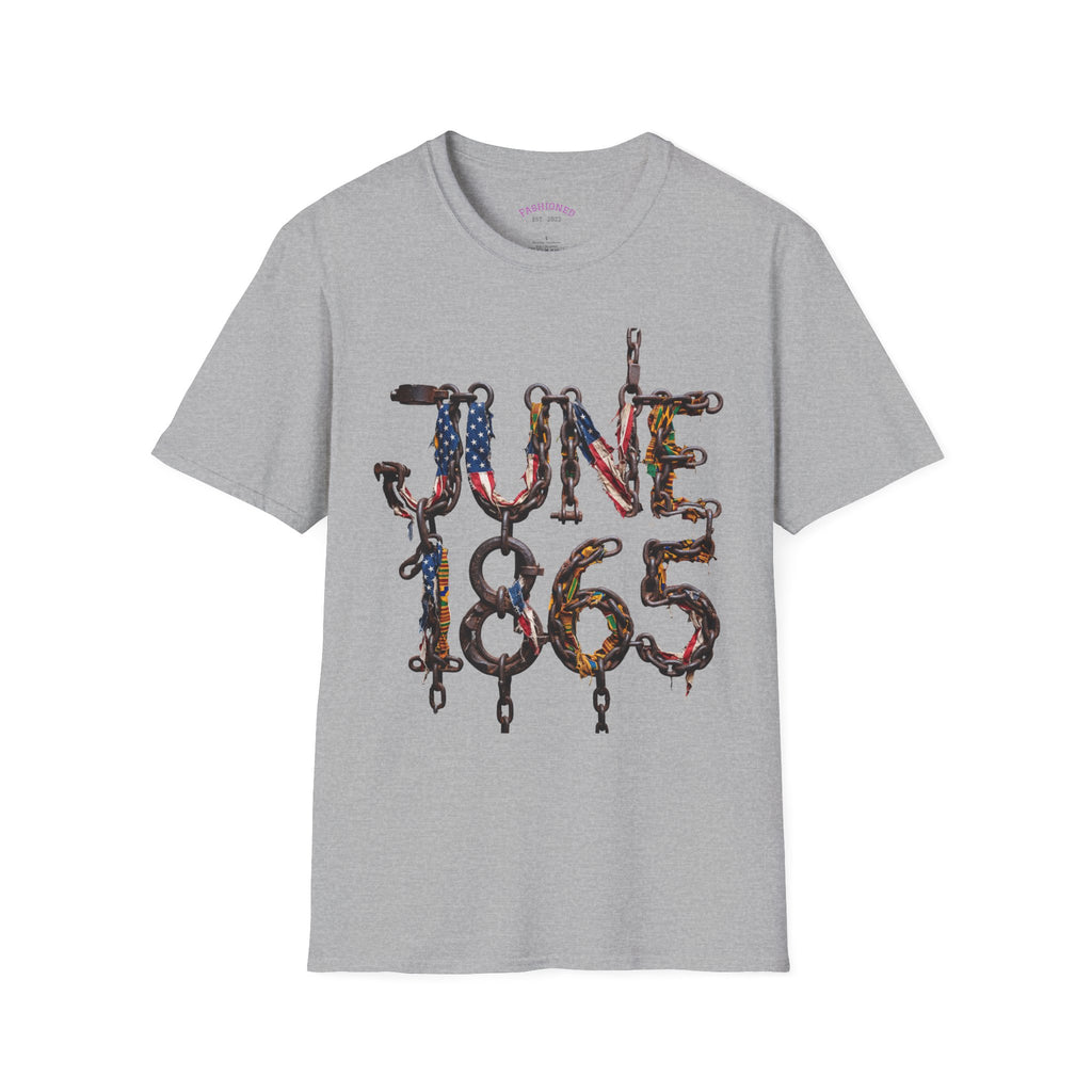 Juneteenth Distressed T-Shirts | Black History & Freedom Pride Tees (Set of 3 Designs)Matching Pet Apparel