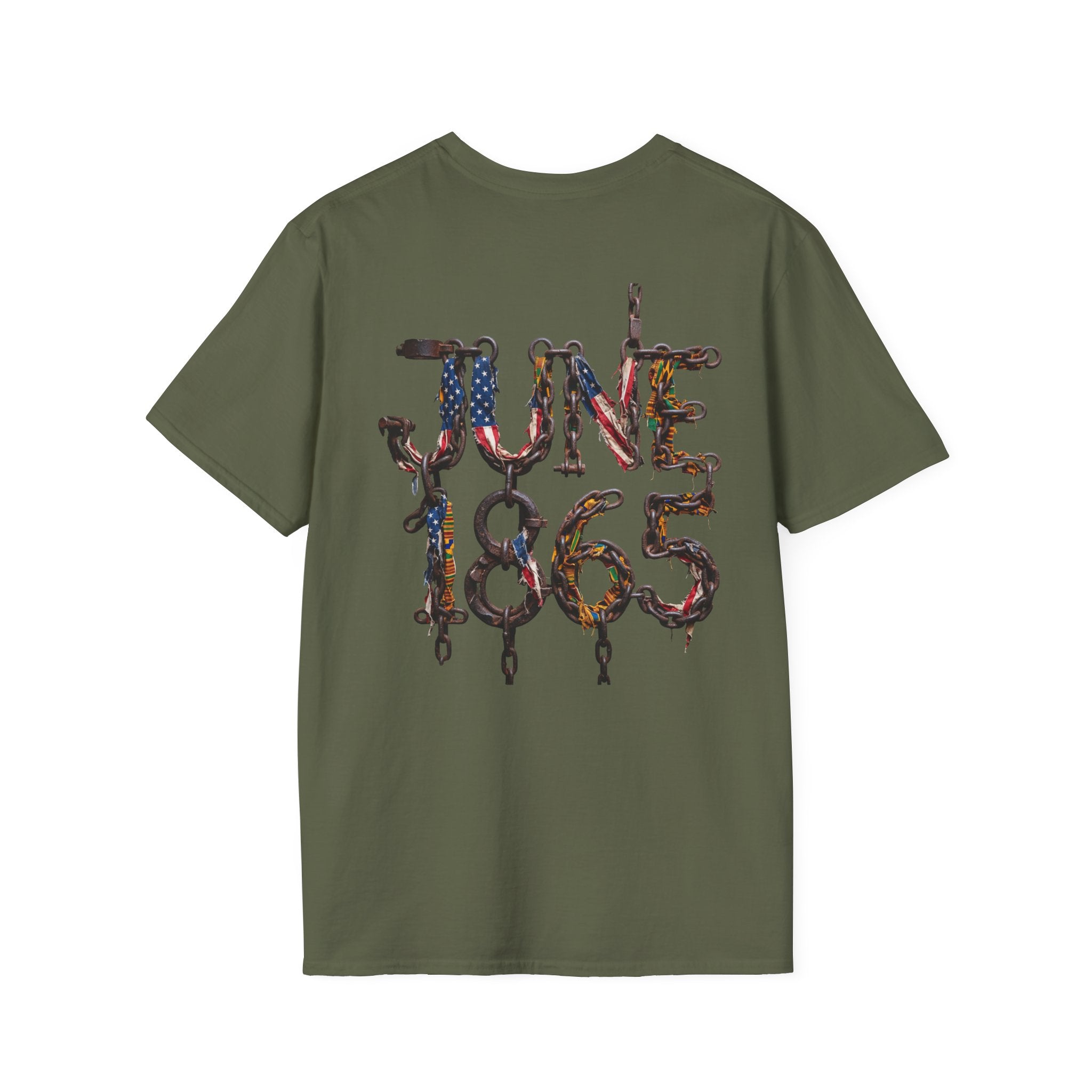 Juneteenth Distressed T-Shirts | Black History & Freedom Pride Tees (Set of 3 Designs)Matching Pet Apparel