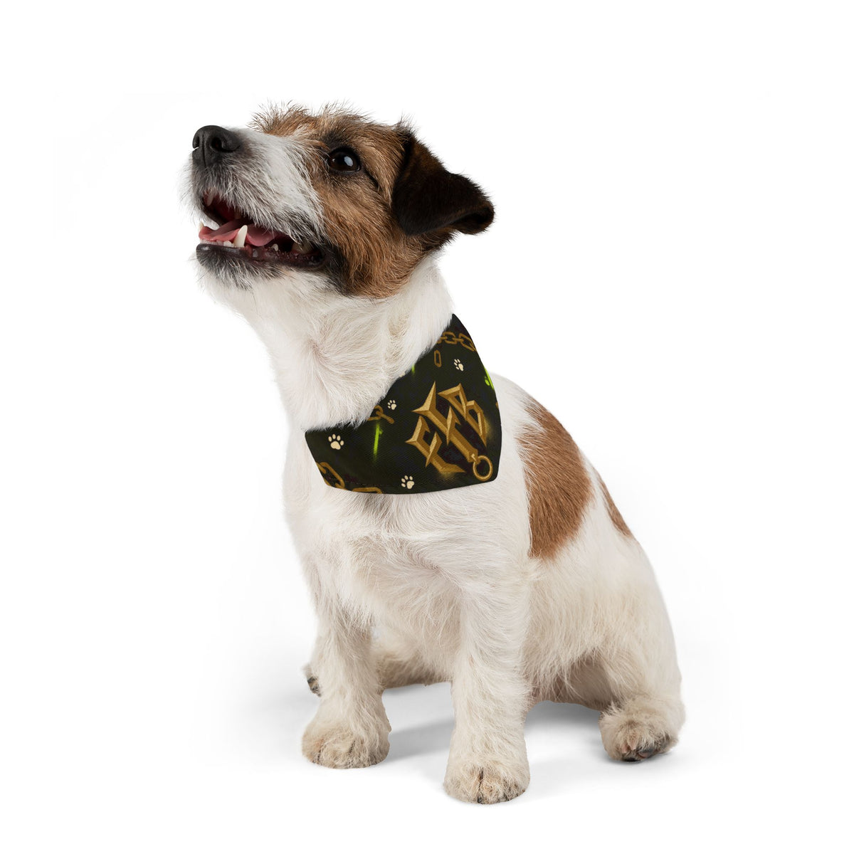 Gold Chain 'FTB' Pet Bandana Collar – Luxury Collar Accessory for Dogs & Cats