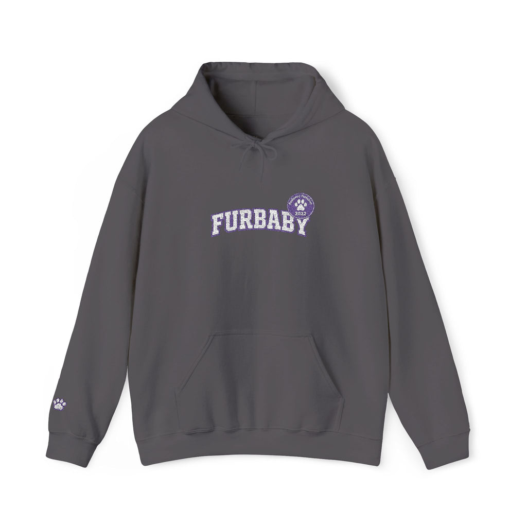 Furbaby Cozy Hoodie — Retro Pet Lover Pullover