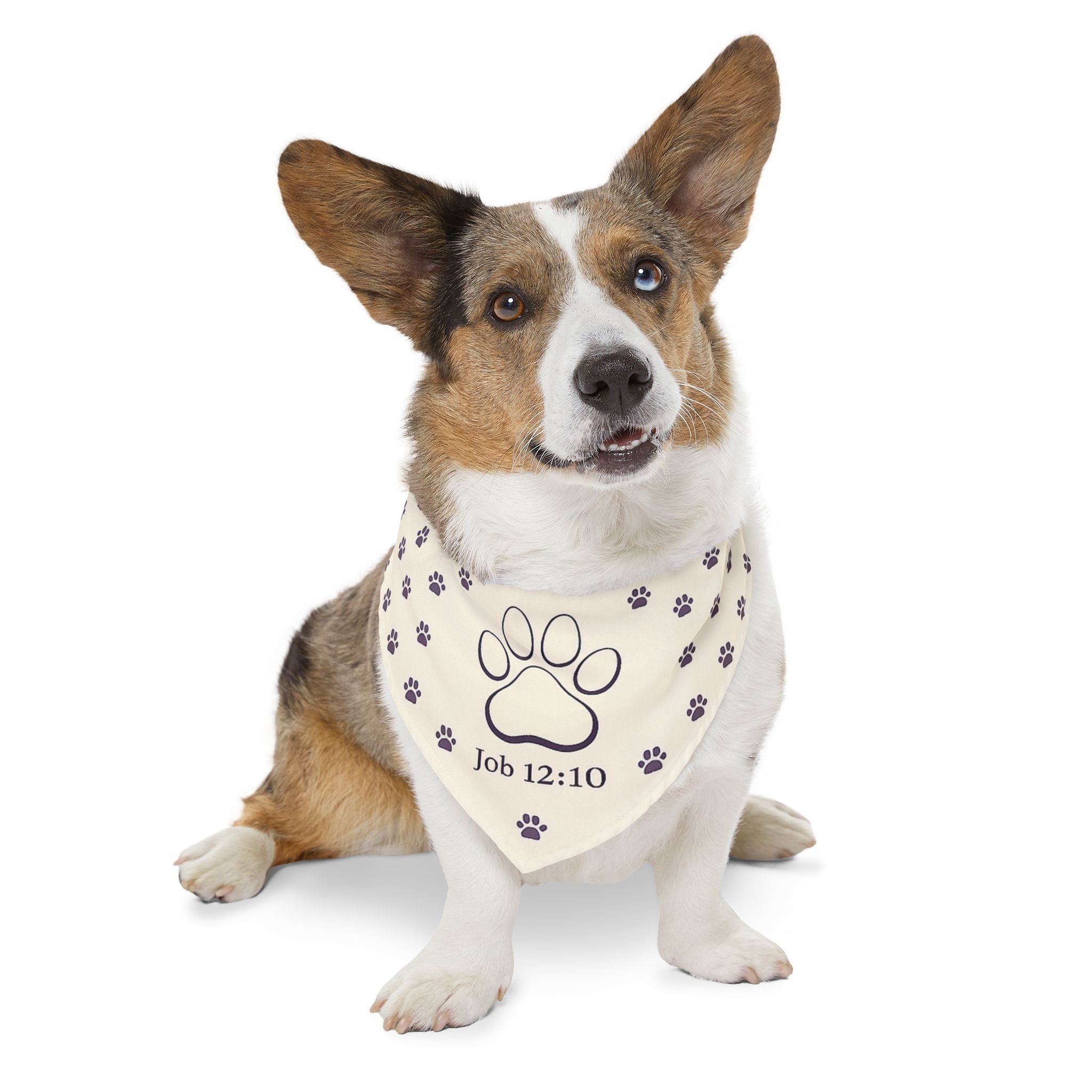 Faith Pet Bandana Collar — Matching Human Shirt Available