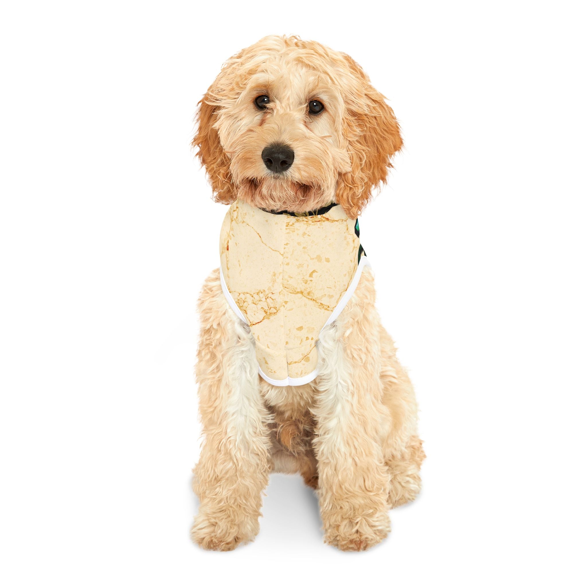 Dog Hoodie Sleeveless Sweatshirt - I Will Tear Your Ankles Up - Black and Gold Lettering