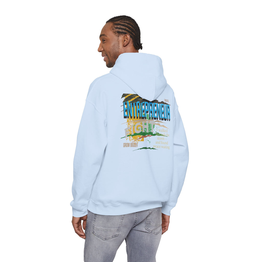 Entrepreneurial Visionary Hoodie - Triumph Company Apparel
