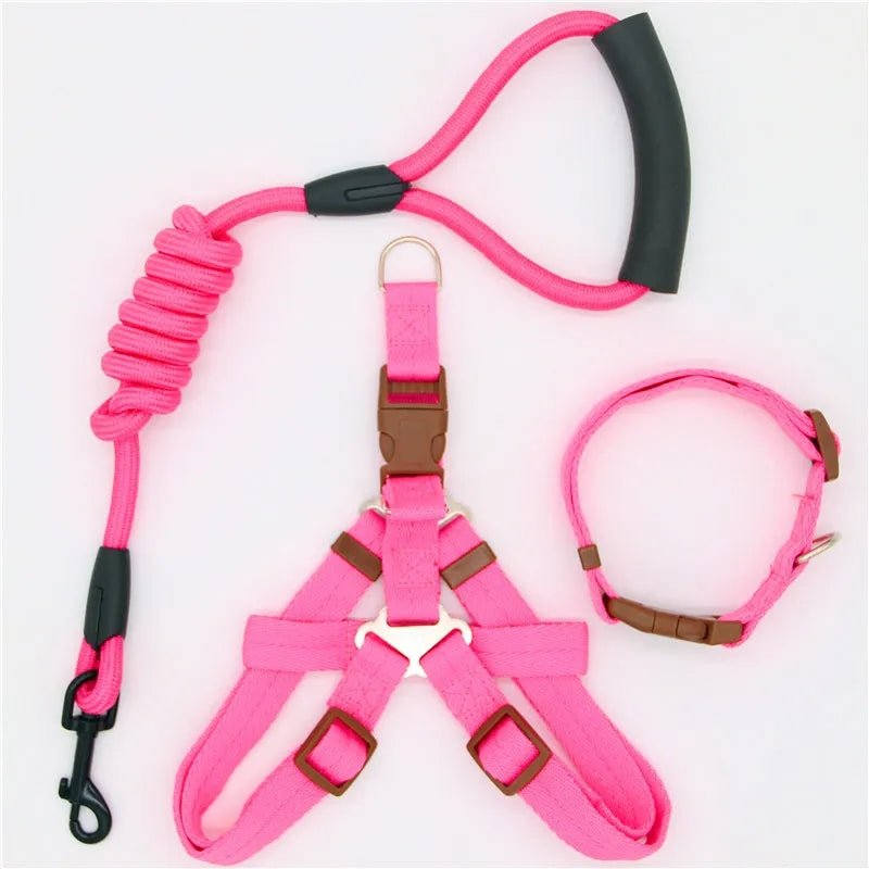 Nylon Dog Harness, Leash and Collar Set!