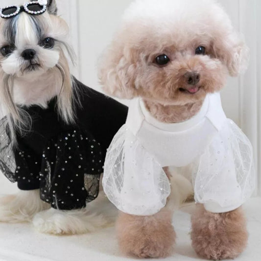 White lace flare sleeve elegant dog shirts.