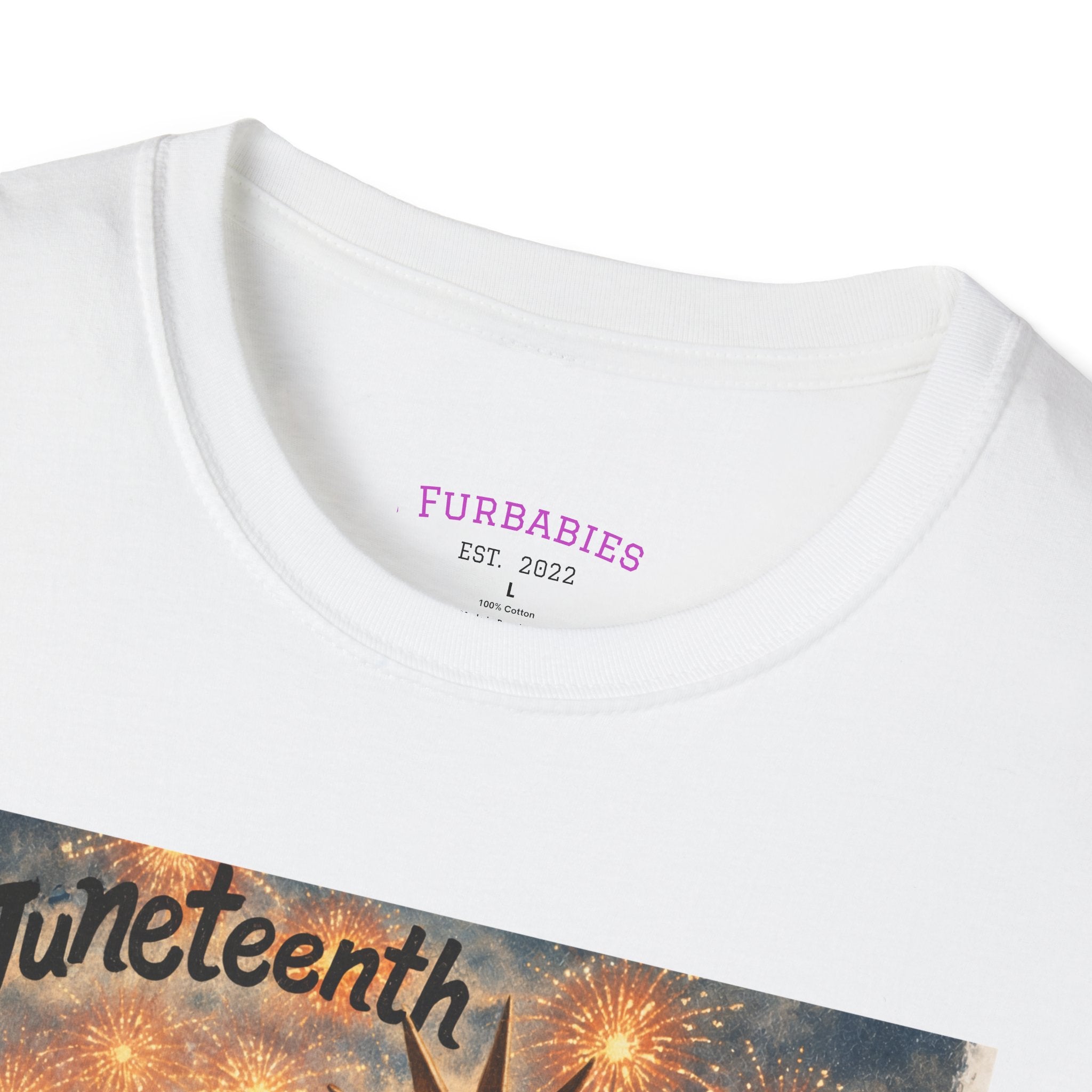 Juneteenth Distressed T-Shirts | Black History & Freedom Pride Tees (Set of 3 Designs)Matching Pet Apparel