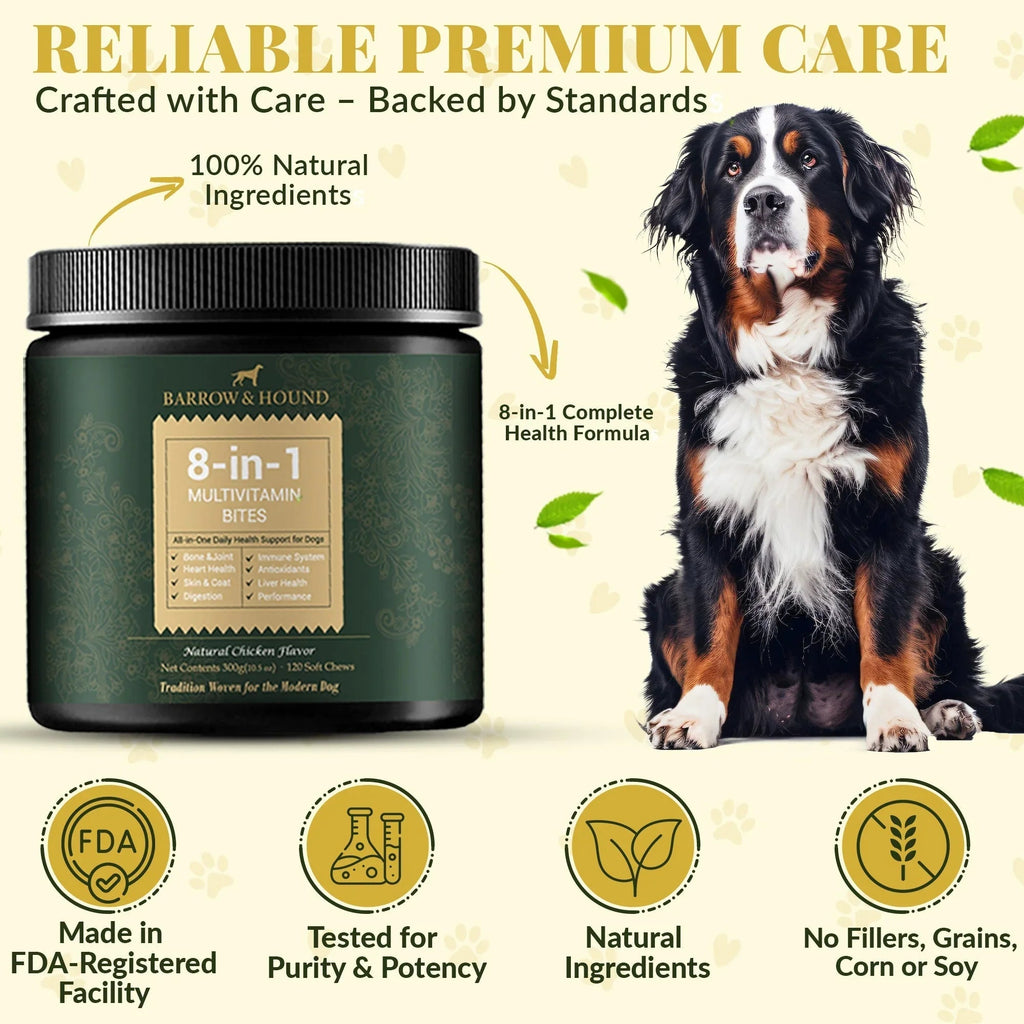 8-in-1 Daily Multivitamin Bites for Dogs – All-in-One Health Support, 120 Soft Chews Barrow & Hound