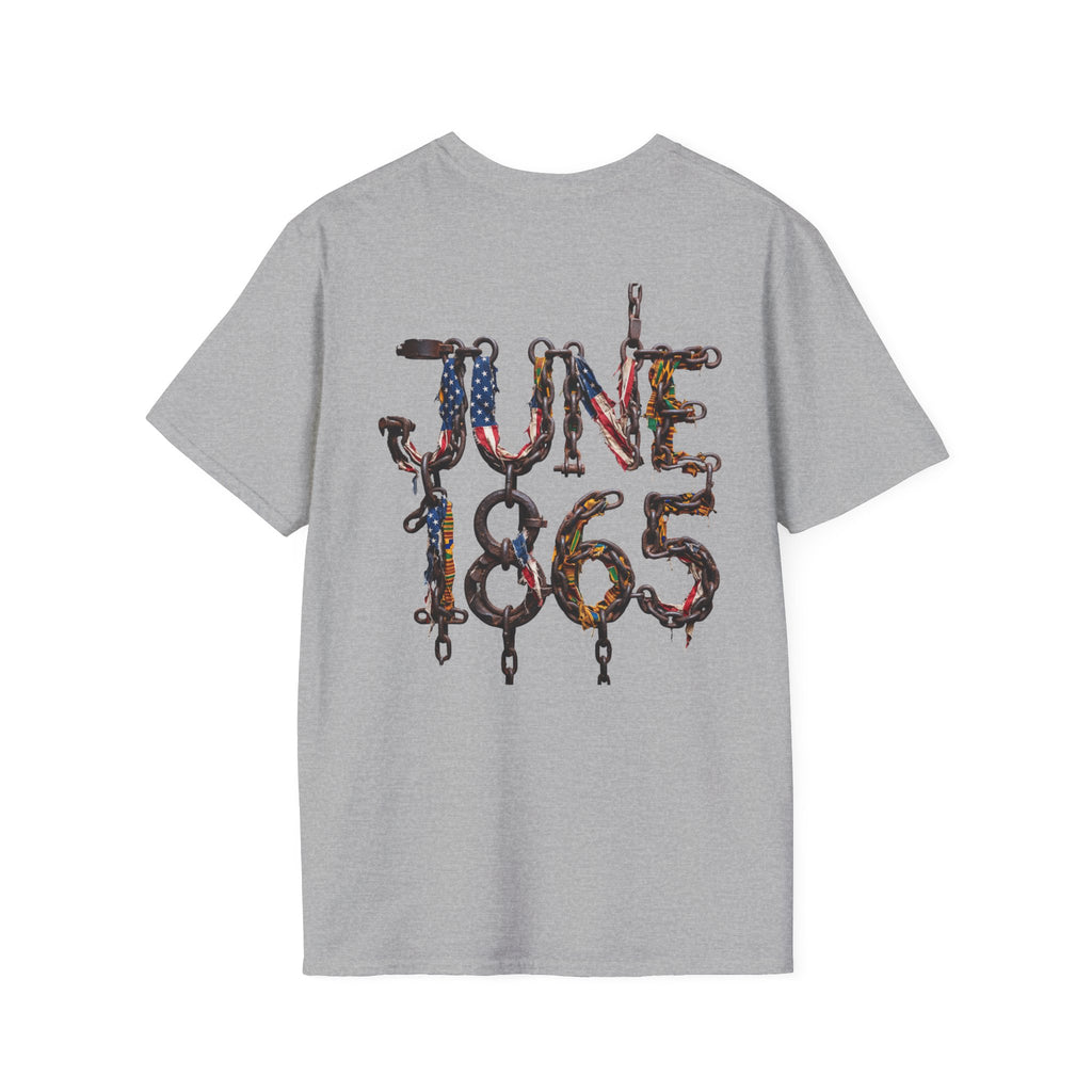Juneteenth Distressed T-Shirts | Black History & Freedom Pride Tees (Set of 3 Designs)Matching Pet Apparel