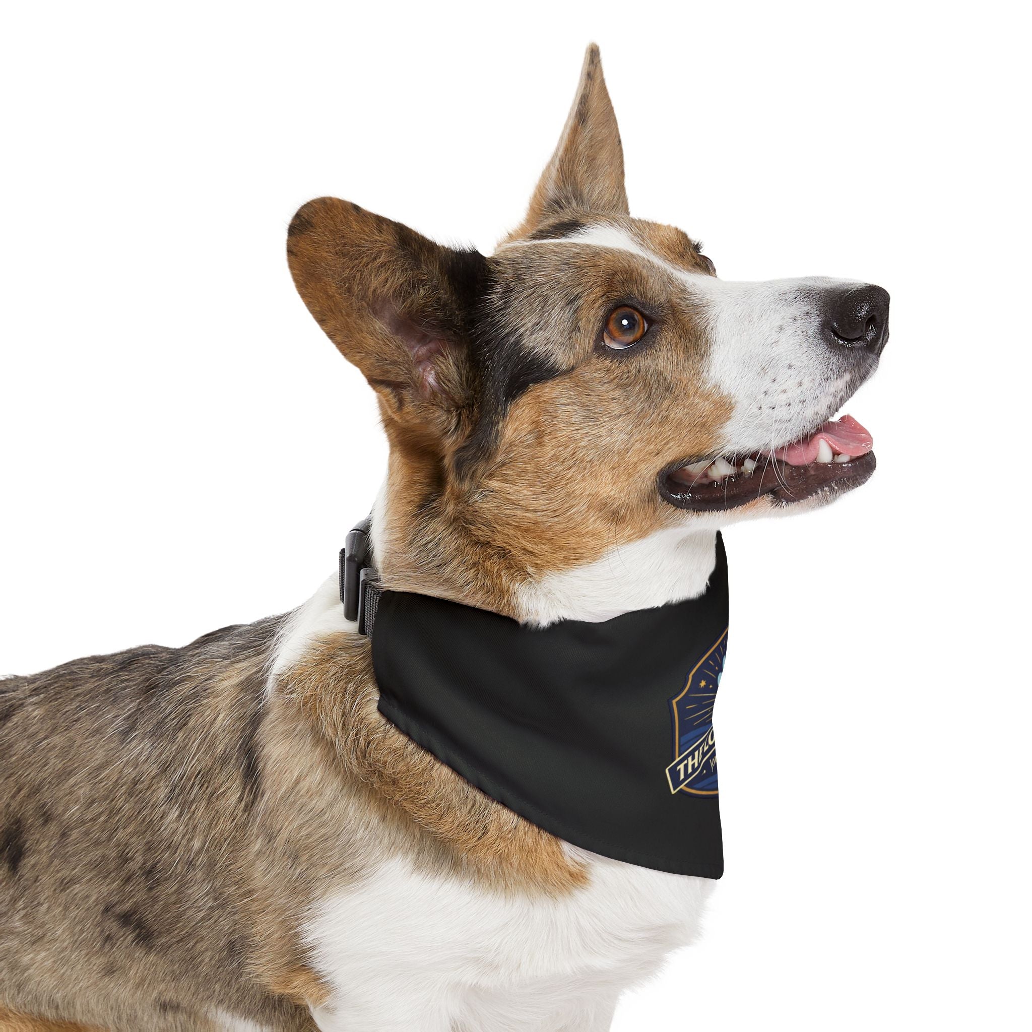 Faith and Fur Pet Bandana Collar — Inspirational Dog Bandana
