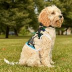 Dog Hoodie Sleeveless Sweatshirt - I Will Tear Your Ankles Up - Black and Gold Lettering