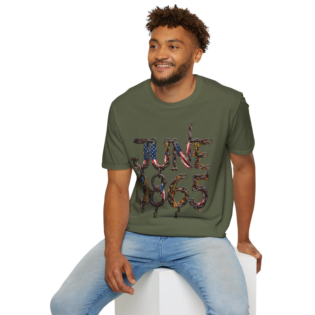 Juneteenth Distressed T-Shirts | Black History & Freedom Pride Tees (Set of 3 Designs)Matching Pet Apparel