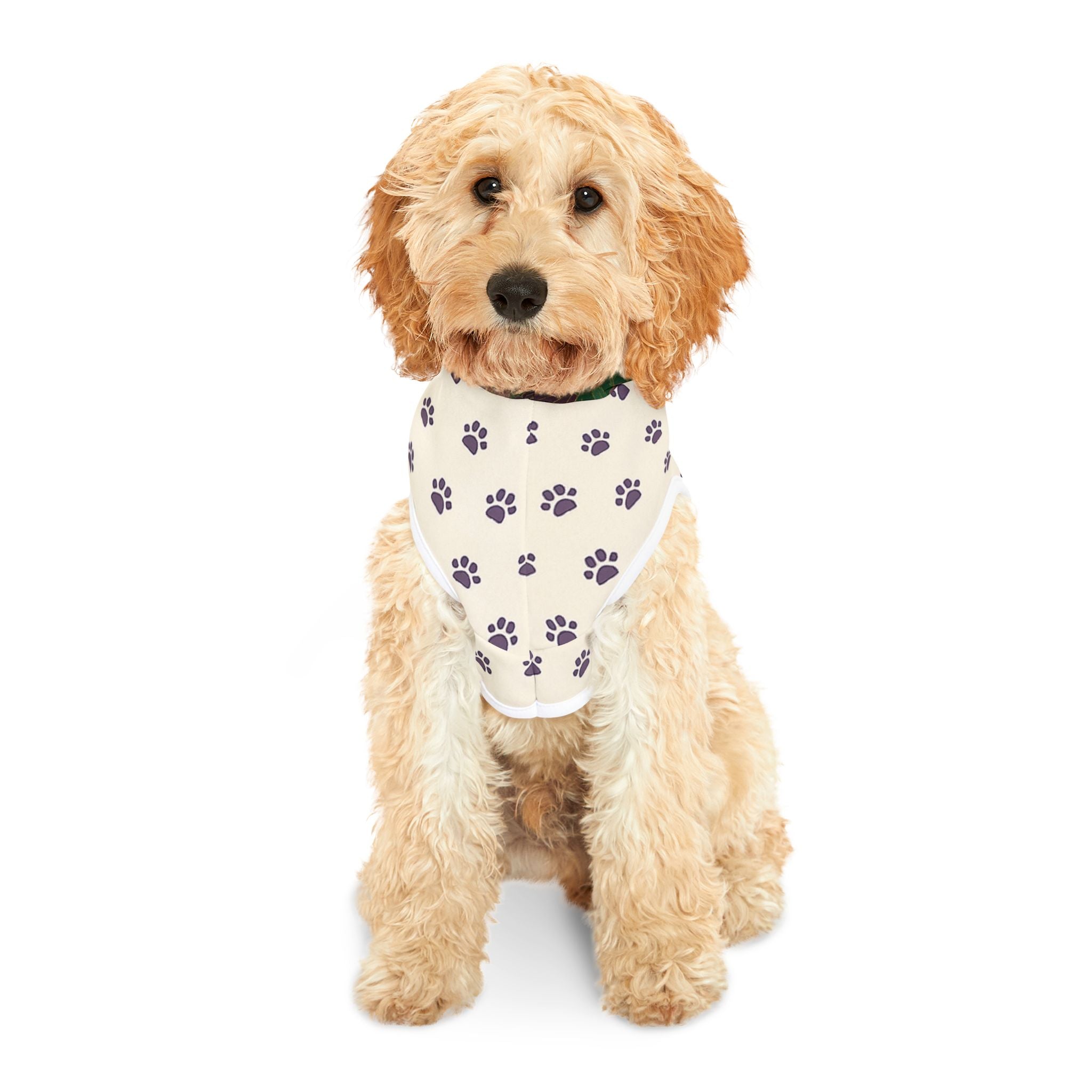 Faith & Fur Pet Hoodie — "Faith" Scripture Design (Matches People Shirt Available)