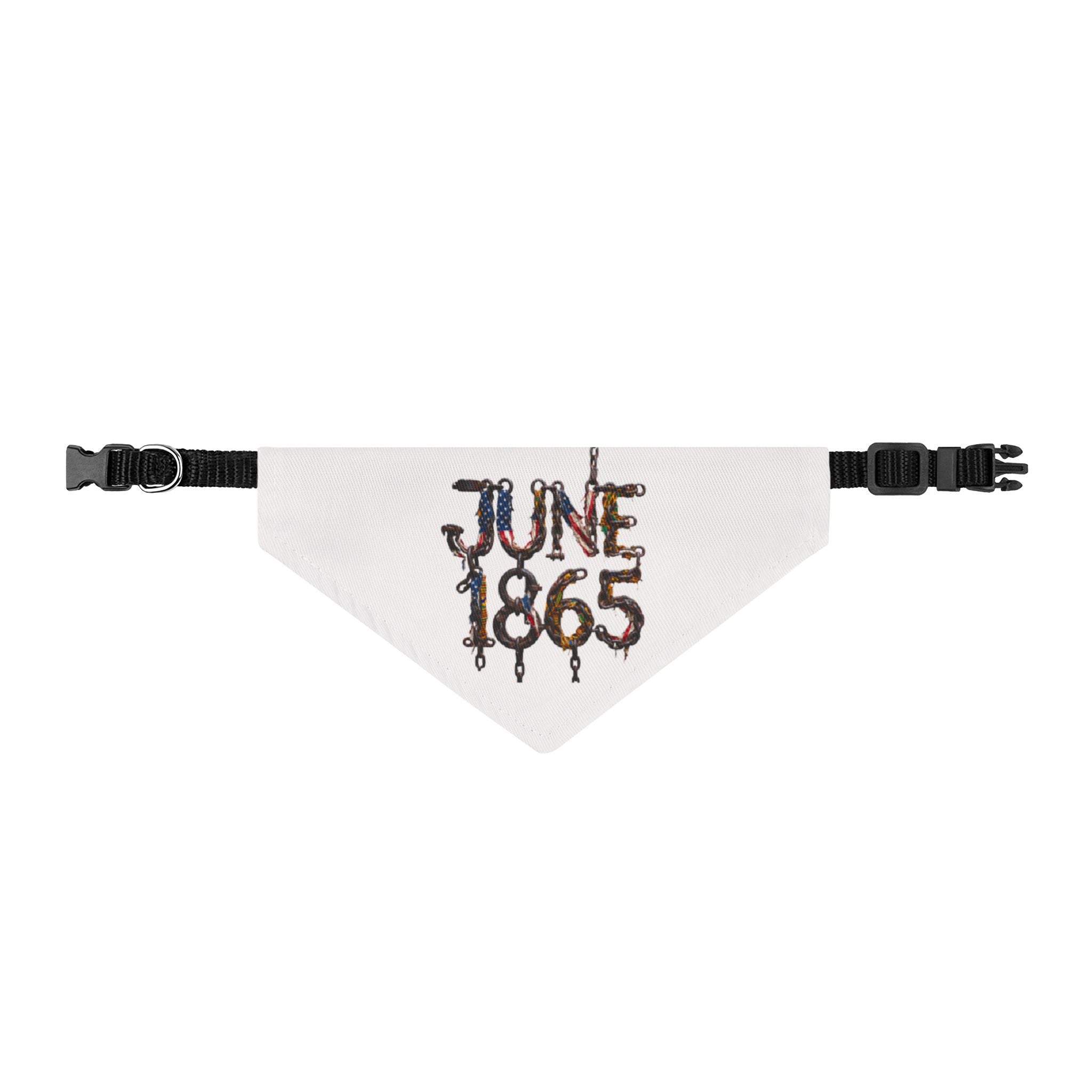 Clip-On Pet Bandana — "June 1865" Vintage Key Design