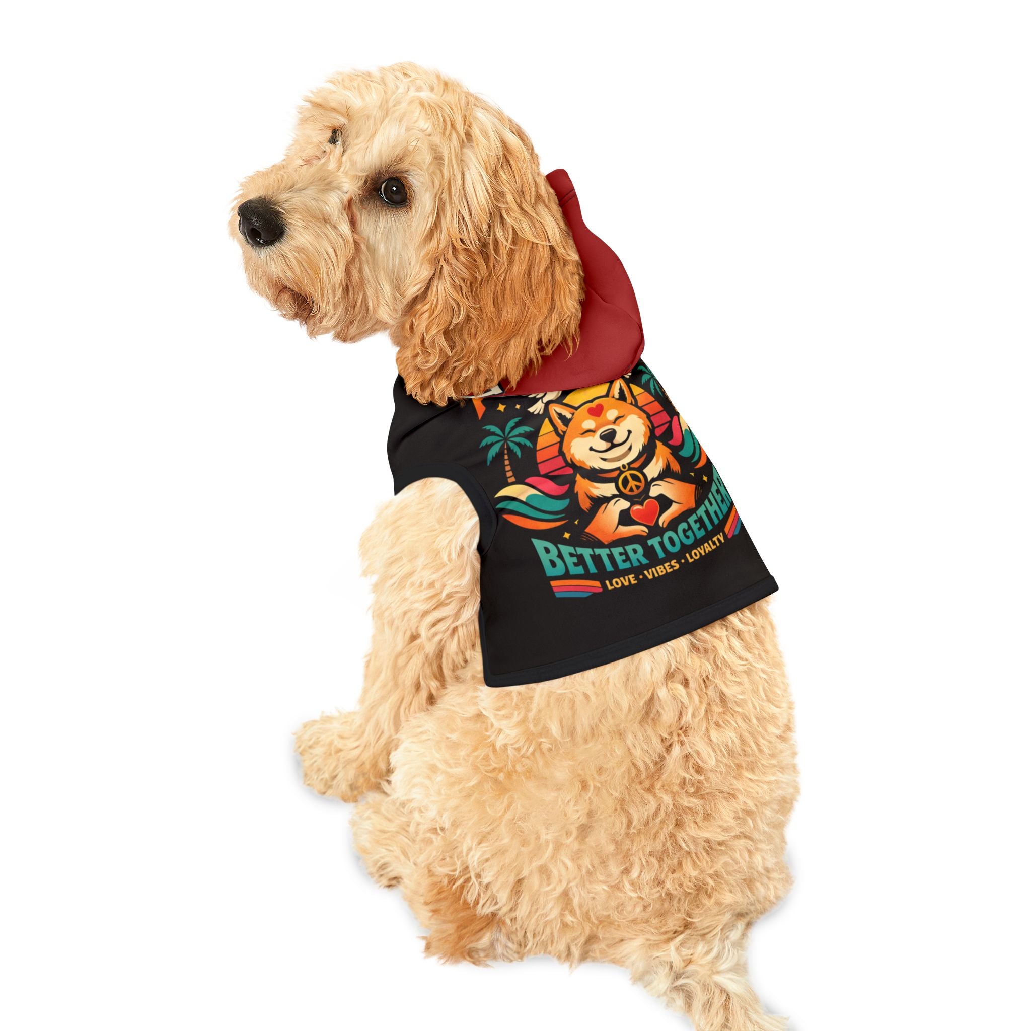 Matching Pet Hoodie — Coordinating T‑Shirt Set for Pet & Owner