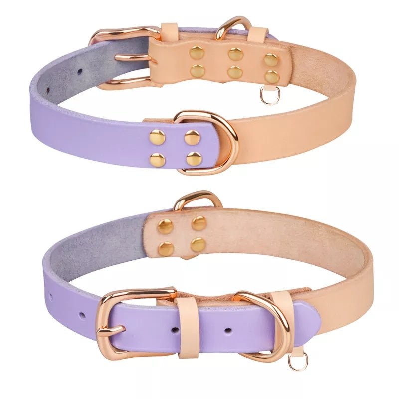 Leather Dog Collar