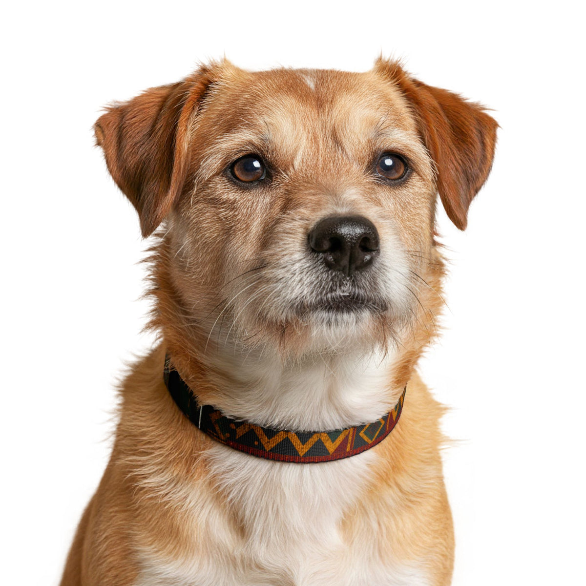 Kente inspired and  USA pattern Geo Clip-On Pet Collar — Adjustable Patterned Dog Collar
