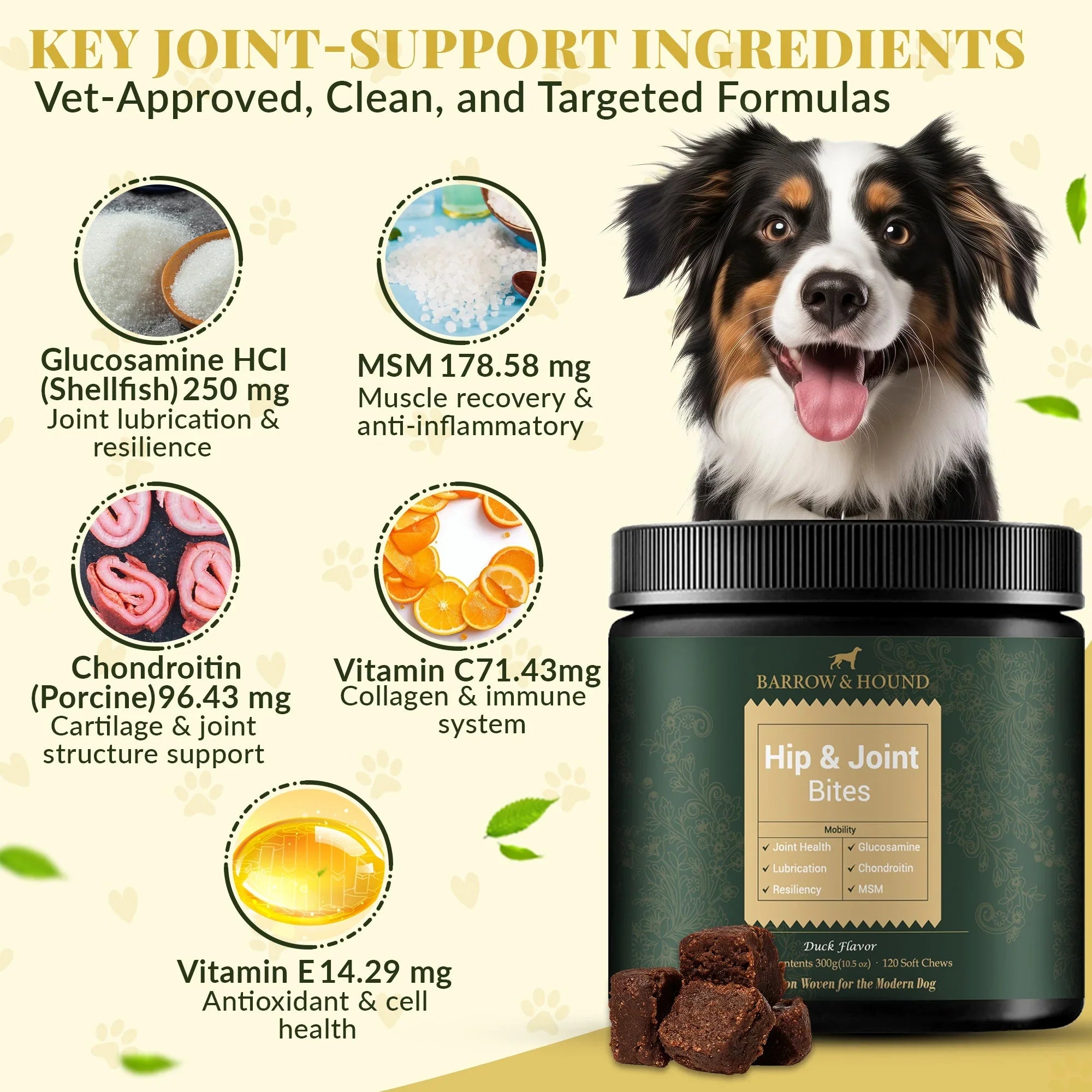 Hip & Joint Supplement for Dogs – Mobility Support for All Breeds Barrow & Hound