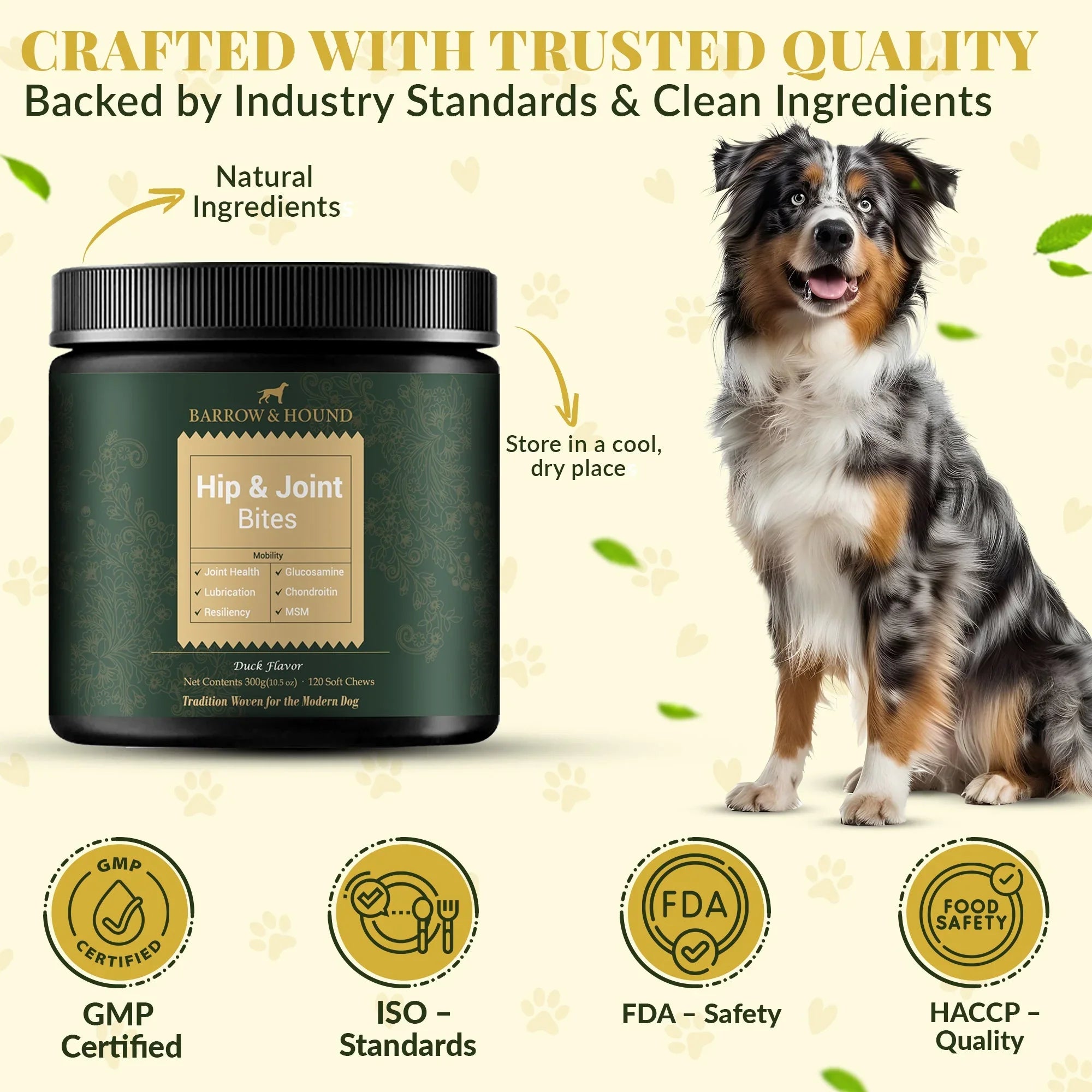 Hip & Joint Supplement for Dogs – Mobility Support for All Breeds Barrow & Hound