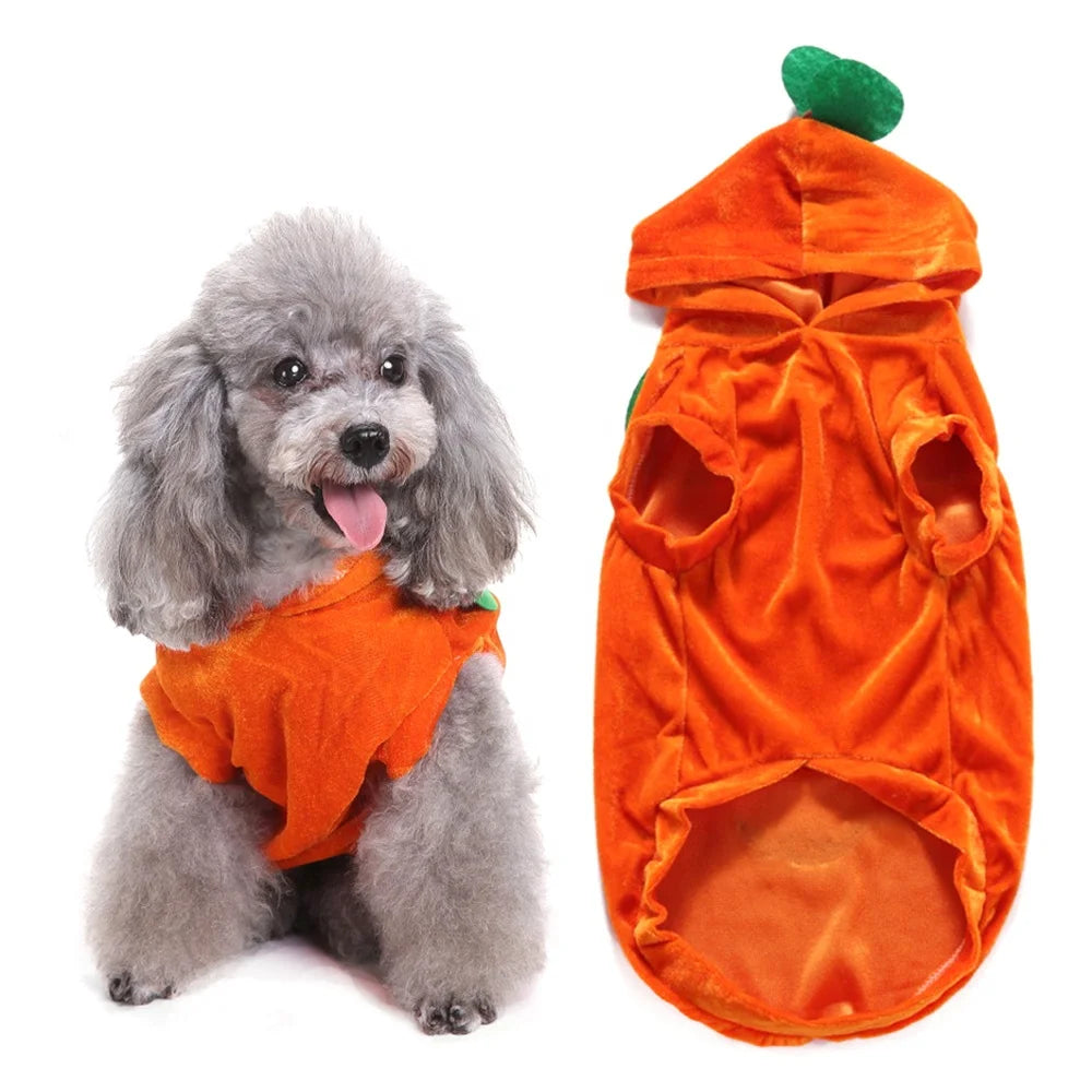 Halloween Pumpkin Pet Costume | Eco-Friendly Polyester Cosplay Coat for Dogs & Cats S–L