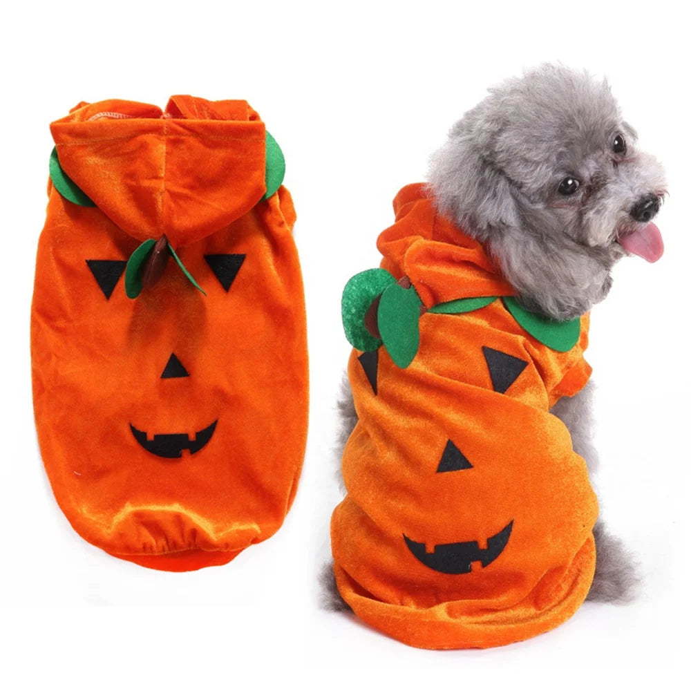 Halloween Pumpkin Pet Costume | Eco-Friendly Polyester Cosplay Coat for Dogs & Cats S–L