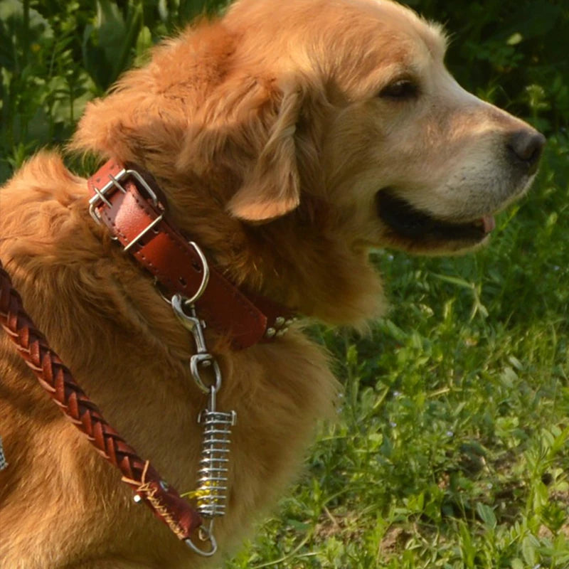 Pet Leather Dog Collar Leash For Large Dog Leather Dog Traction Drag Tow Rope Chain Pet Dog Supplies Accessories Prevent Runaway Fashioned Furbabies