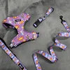 Silicone Dog Harness, Collar & Leash Set