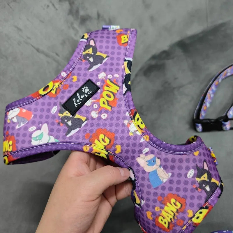 Silicone Dog Harness, Collar & Leash Set