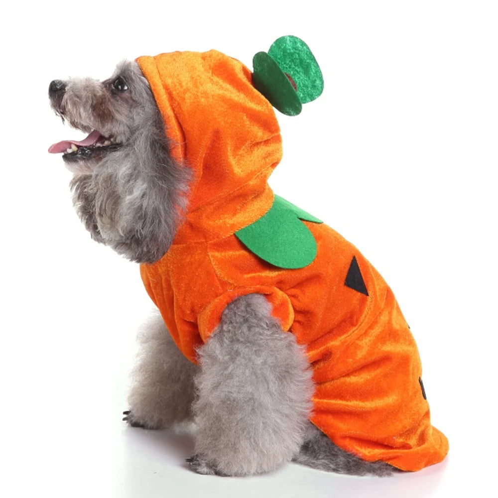 Halloween Pumpkin Pet Costume | Eco-Friendly Polyester Cosplay Coat for Dogs & Cats S–L