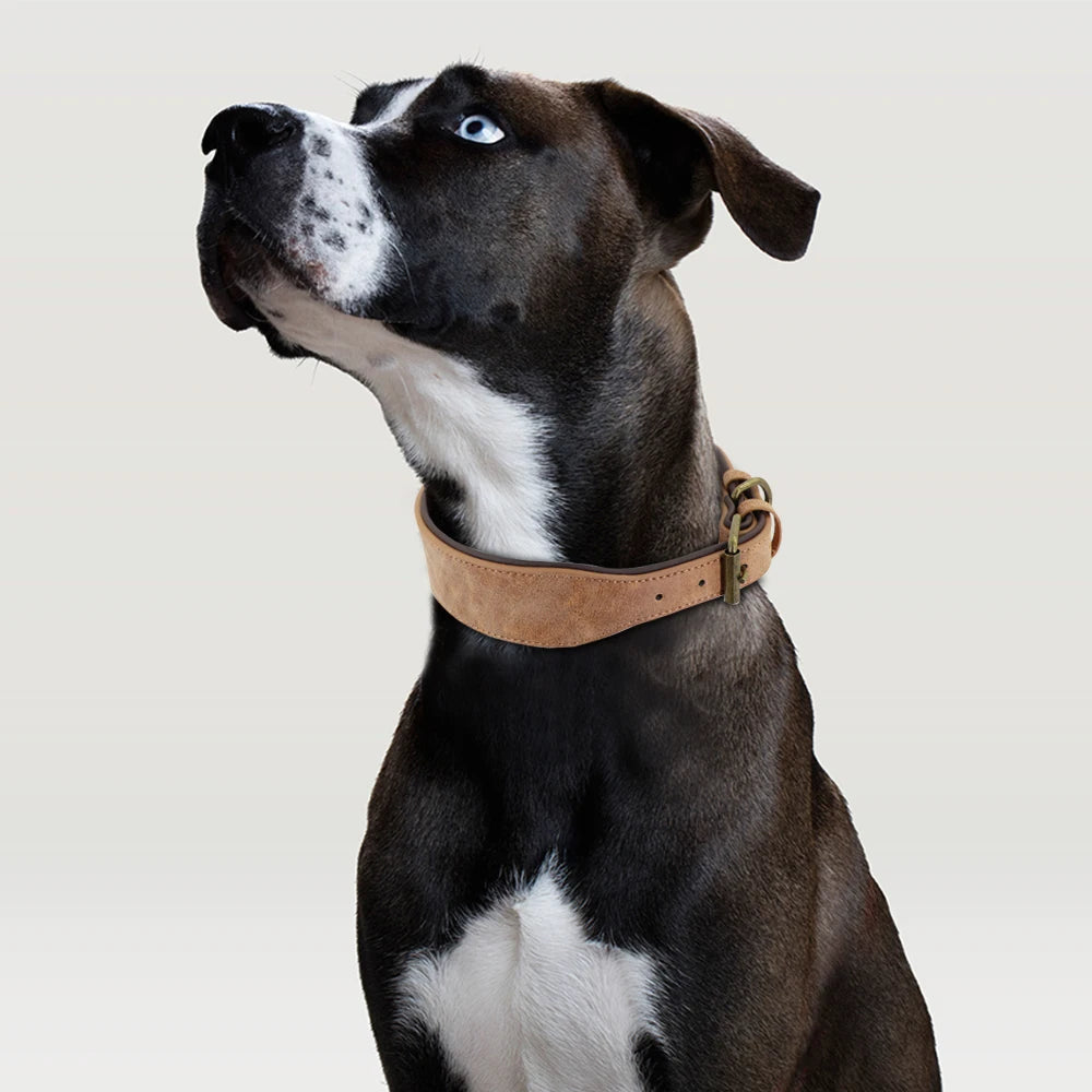Wide Leather Dog Collar Padded Pet Collars Dog Collar for Medium Large Dogs Pitbull Bulldog German Shepherd 2XL Fashioned Furbabies