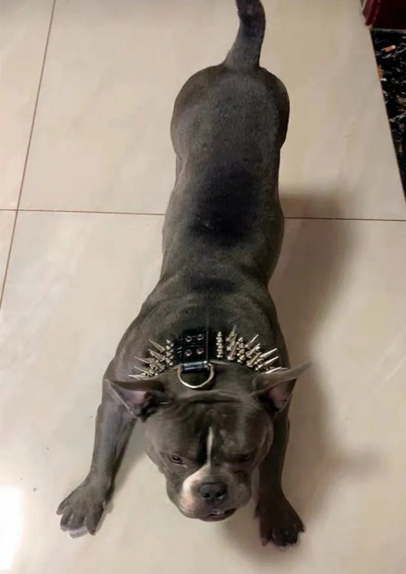 Fashionable Rivet Pet Collar Large Dog Collar For Fat Puppy Leashes For Bulldog Pug Stainless Steel Dog Chain Pet Products