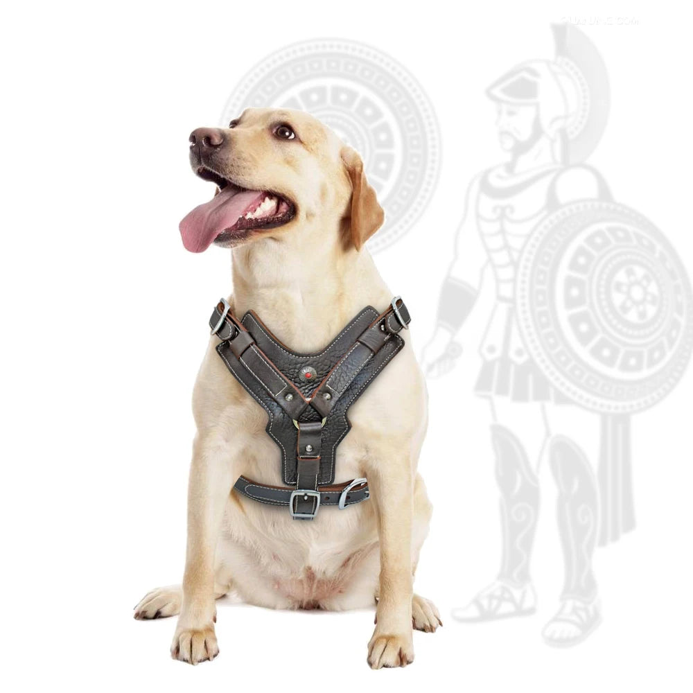Durable Dog Harness Large Dogs Genuine Leather Harnesses Pet Training Vest With Quick Control Handle For Labrador Pitbull Fashioned Furbabies