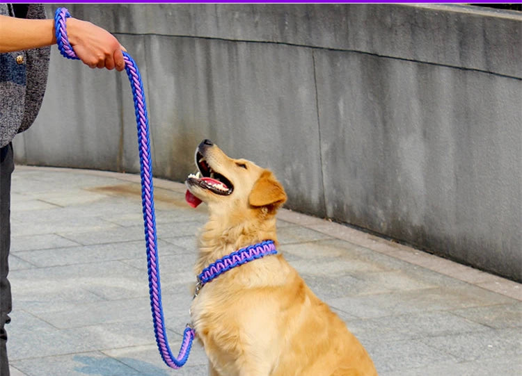 Adjustable P-Chain Dog Collar — Nylon Quick-Release Collar for Small, Medium & Large Dogs | 6 Colors | S–XL