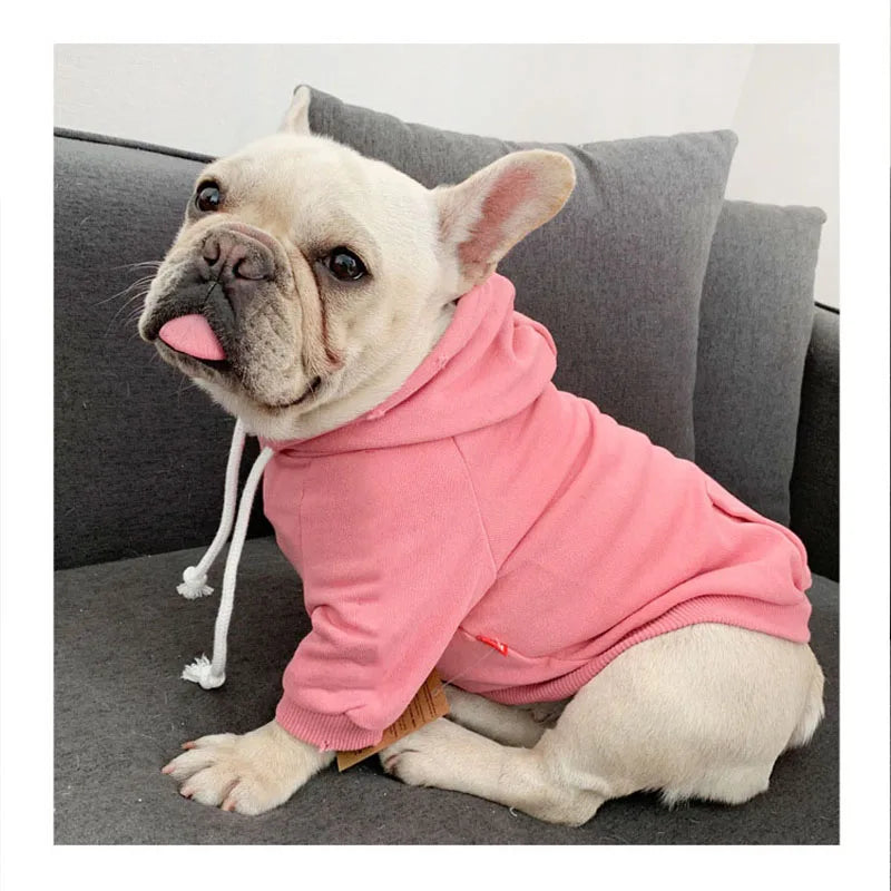 Pet Matching Hoodie longer delivery