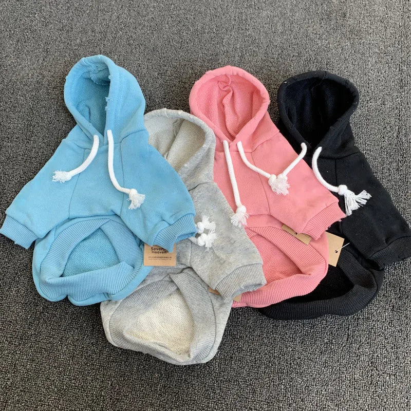 Pet Matching Hoodie longer delivery