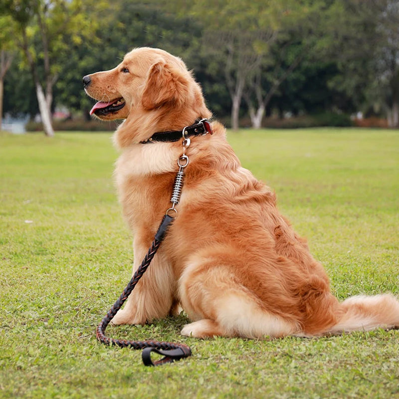 Pet Leather Dog Collar Leash For Large Dog Leather Dog Traction Drag Tow Rope Chain Pet Dog Supplies Accessories Prevent Runaway Fashioned Furbabies