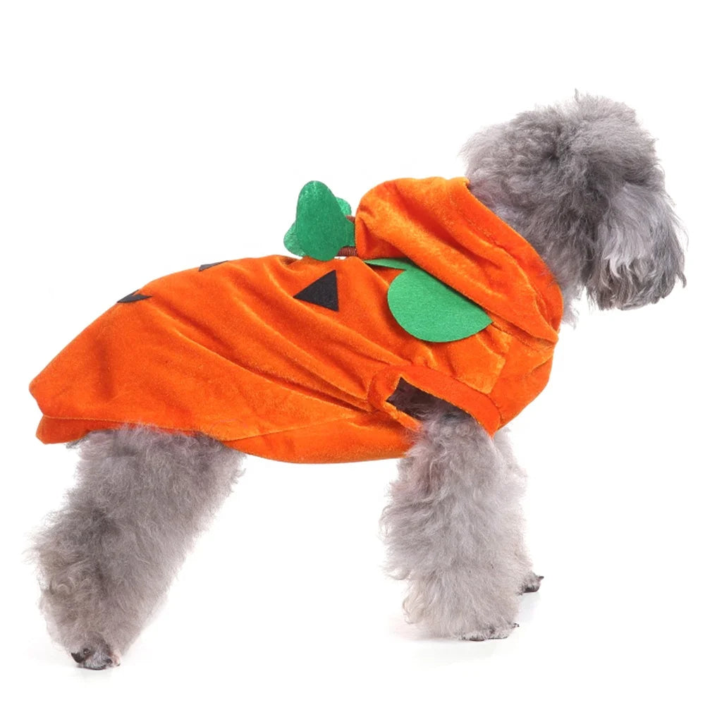 Halloween Pumpkin Pet Costume | Eco-Friendly Polyester Cosplay Coat for Dogs & Cats S–L