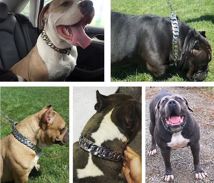 Gold Cuban Chain Dog Collar — 32mm Stainless Steel 316 Heavy Duty Collar for Large & Bully Breeds | 10 Lengths | 18K Gold