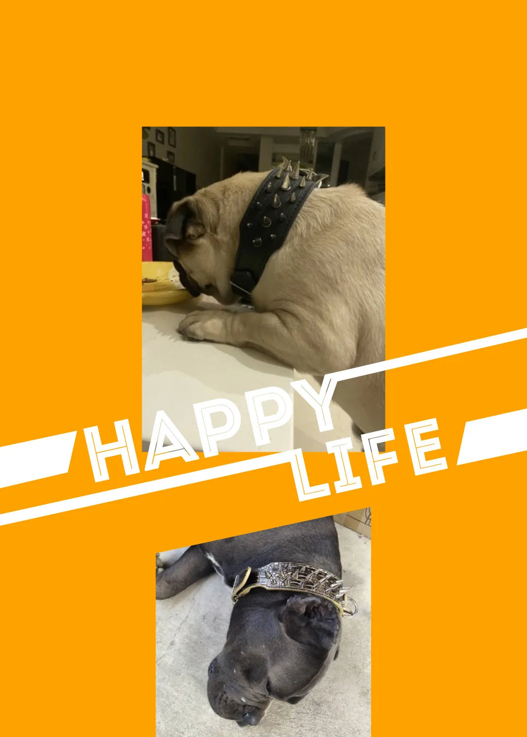 Fashionable Rivet Pet Collar Large Dog Collar For Fat Puppy Leashes For Bulldog Pug Stainless Steel Dog Chain Pet Products