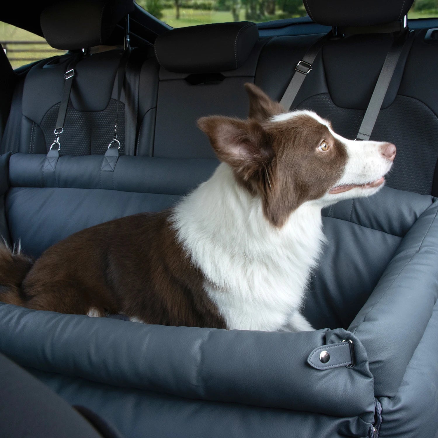 Luxury Dog Beds Faux Leather Dog Car Seat Booster Double Seats Pet Car Seat Bed with Safety Buckle  Pet Beds Fashioned Furbabies