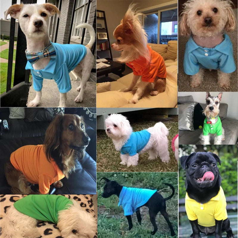 Lightweight Dog Polo Shirt