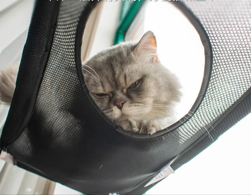 Double Suction Cup Cat Cage Hammock Villa Cat's Sunshine Cat's Nest Pet Products