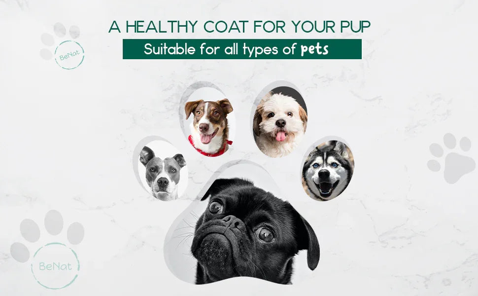 BeNat Pets. All-Natural Pet Shampoo Bar. Oat. 5.8 oz. BeNat