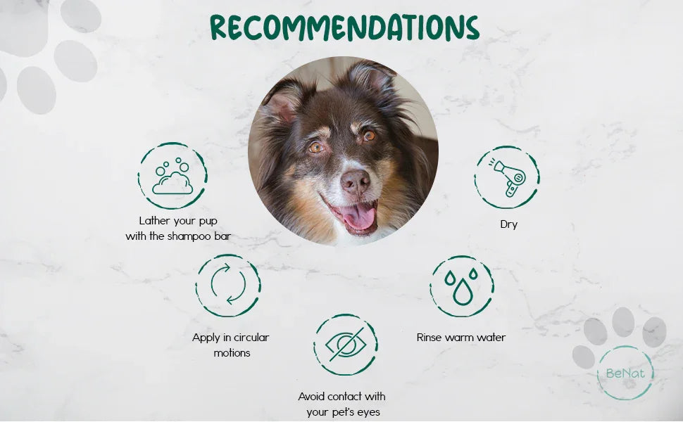BeNat Pets. All-Natural Pet Shampoo Bar. Oat. 5.8 oz. BeNat